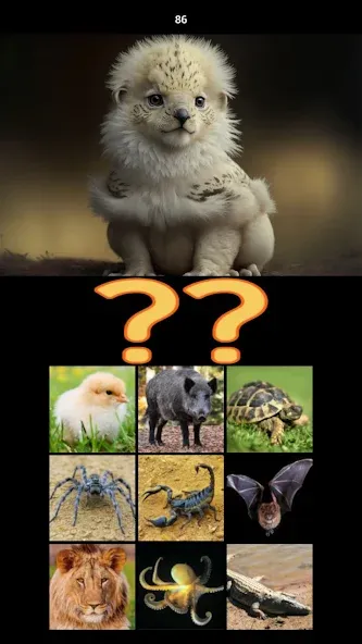 Hybrid Animals Crazy Lab Quiz (Хибридные животные Сумасшедшая лаборатория Викторина)  [МОД Меню] Screenshot 5