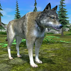 Скачать взлом Wolf Simulator - Animal Games  [МОД Mega Pack] - полная версия apk на Андроид