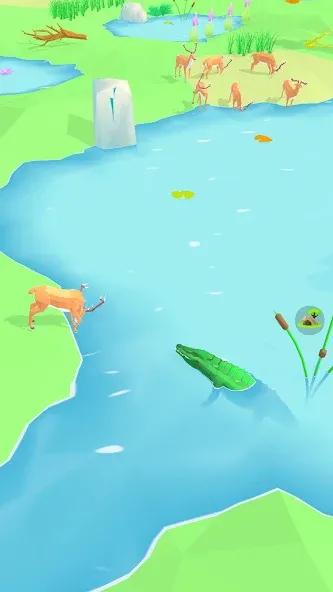 Animal Wildlife (Энимал Вайлдлайф)  [МОД Menu] Screenshot 1