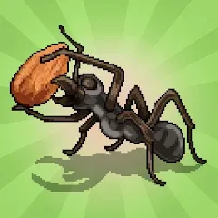 Взлом Pocket Ants: Colony Simulator (Покет Муравьи)  [МОД Много монет] - стабильная версия apk на Андроид