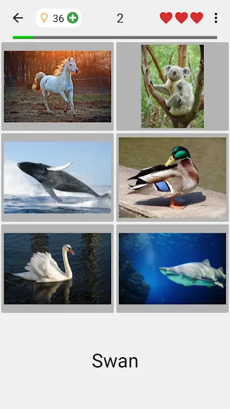 Guess Pictures and Words Quiz  [МОД Unlimited Money] Screenshot 2