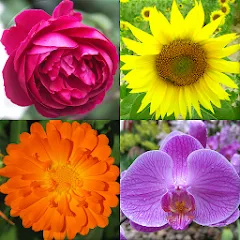 Скачать взлом Flowers Quiz - Identify Plants  [МОД Все открыто] - последняя версия apk на Андроид