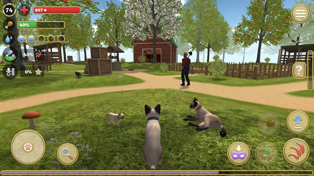 Cat Simulator : Kitties Family  [МОД Много монет] Screenshot 1