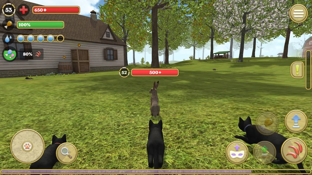 Cat Simulator : Kitties Family  [МОД Много монет] Screenshot 2