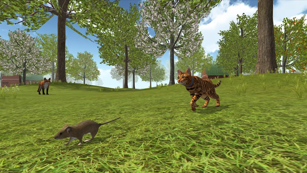 Cat Simulator : Kitties Family  [МОД Много монет] Screenshot 4