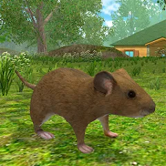 Взломанная Mouse Simulator :  Forest Home  [МОД Много монет] - стабильная версия apk на Андроид