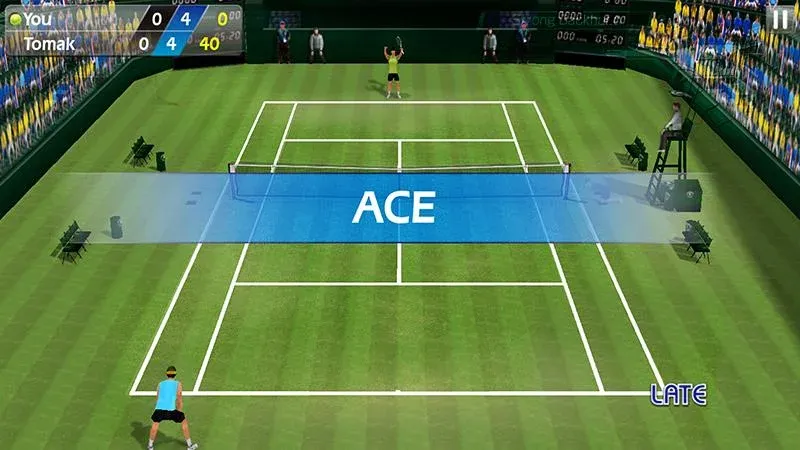 3D Tennis  [МОД Menu] Screenshot 2