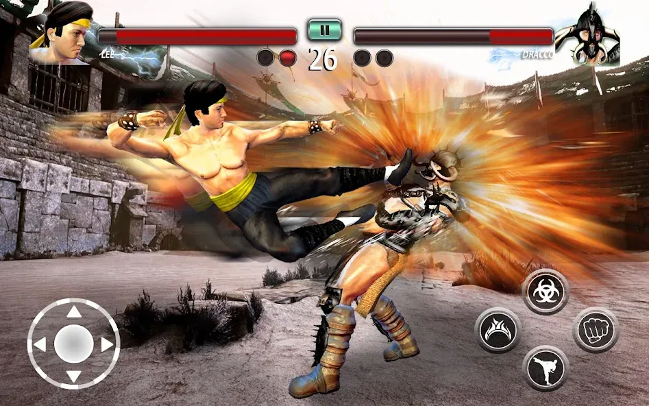 Ninja Games Fighting: Kung Fu (Ниндзя Игры Борьбы)  [МОД Бесконечные деньги] Screenshot 3