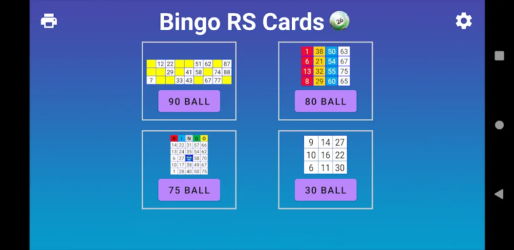 Bingo RS Cards (Бинго РС Карты)  [МОД Все открыто] Screenshot 1