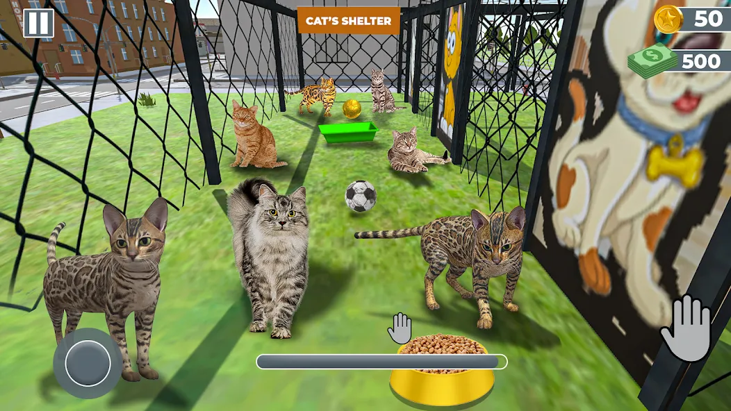 Animal Shelter: Pet Rescue 3D  [МОД Много монет] Screenshot 2