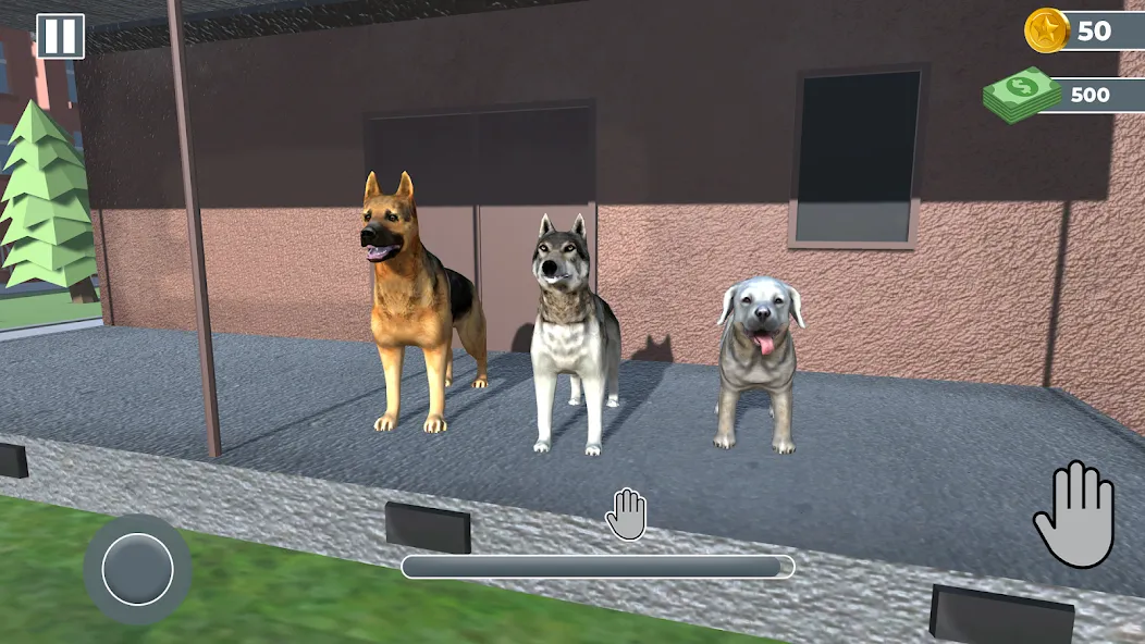 Animal Shelter: Pet Rescue 3D  [МОД Много монет] Screenshot 3