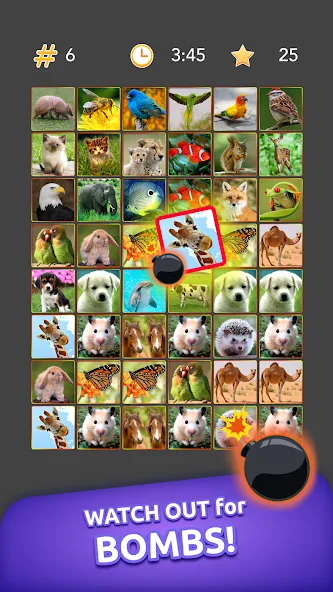 Onnect - Pair Matching Puzzle (Оннект)  [МОД Mega Pack] Screenshot 5