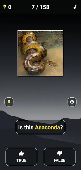 Animal Quiz: Guess the Animal  [МОД Меню] Screenshot 3