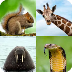 Скачать взлом Animal Quiz: Guess the Animal  [МОД Меню] - стабильная версия apk на Андроид