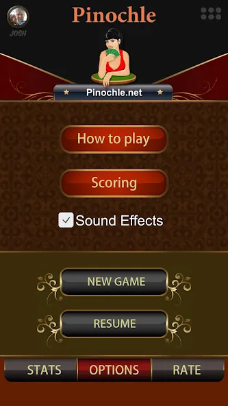 Pinochle.Net  [МОД Unlocked] Screenshot 2