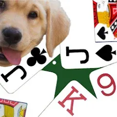 Взлом K9 Euchre (К9 Юкер)  [МОД Много денег] - стабильная версия apk на Андроид