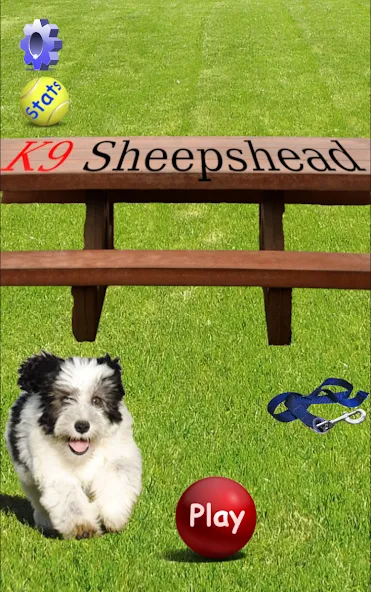 K9 Sheepshead (Schafkopf) (Шипсхед)  [МОД Menu] Screenshot 1