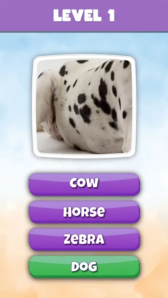 What is it? Pics Trivia Quiz  [МОД Меню] Screenshot 2