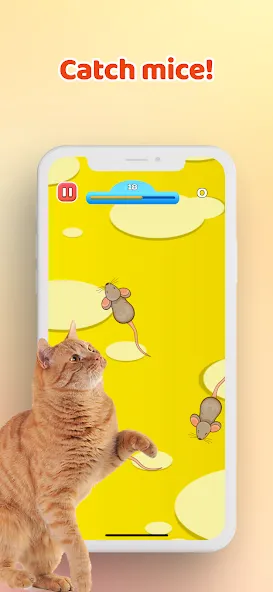 Games for Cat－Toy Mouse & Fish  [МОД Меню] Screenshot 1