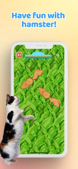 Games for Cat－Toy Mouse & Fish  [МОД Меню] Screenshot 5