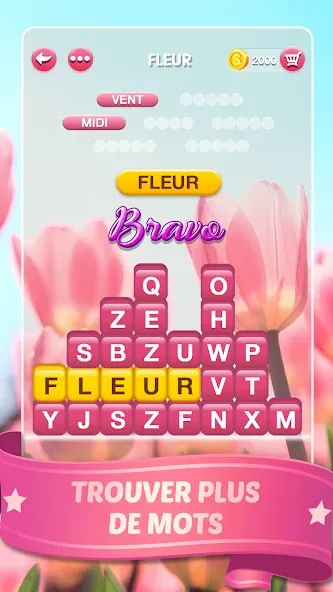 Mots Malins - Jeu de mots pro (Мо Малинс)  [МОД Unlimited Money] Screenshot 3