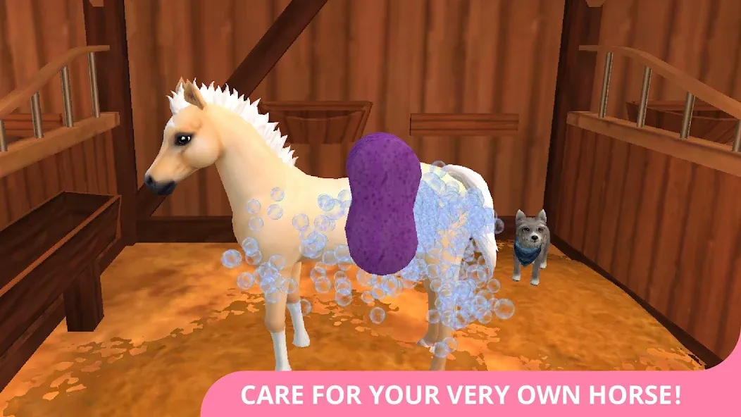 Star Stable Horses (СТар Стабл Хорсес)  [МОД Бесконечные деньги] Screenshot 2