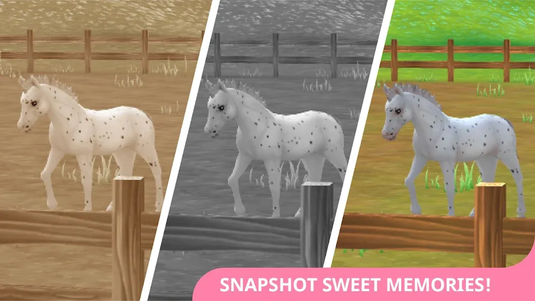 Star Stable Horses (СТар Стабл Хорсес)  [МОД Бесконечные деньги] Screenshot 4