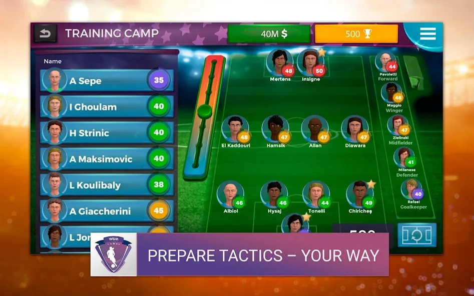 WSM - Women's Soccer Manager (ВСМ)  [МОД Menu] Screenshot 5