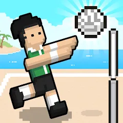 Взлом Volley Random (Воллей Рэндом)  [МОД Много денег] - последняя версия apk на Андроид