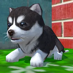 Взломанная Cute Pocket Puppy 3D (Сьют Покет Паппи 3Д)  [МОД Много денег] - стабильная версия apk на Андроид