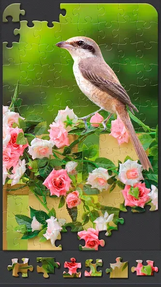 Jigsaw Puzzles for Adults  [МОД Много денег] Screenshot 3