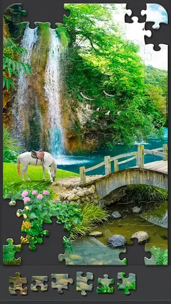 Jigsaw Puzzles for Adults  [МОД Много денег] Screenshot 4