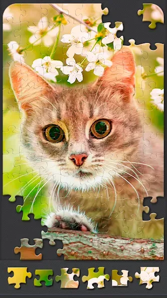 Jigsaw Puzzles for Adults  [МОД Много денег] Screenshot 5