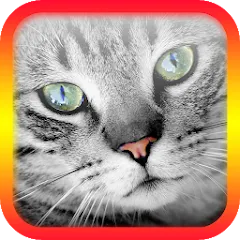 Скачать взломанную Translator for Cats Prank  [МОД Все открыто] - полная версия apk на Андроид