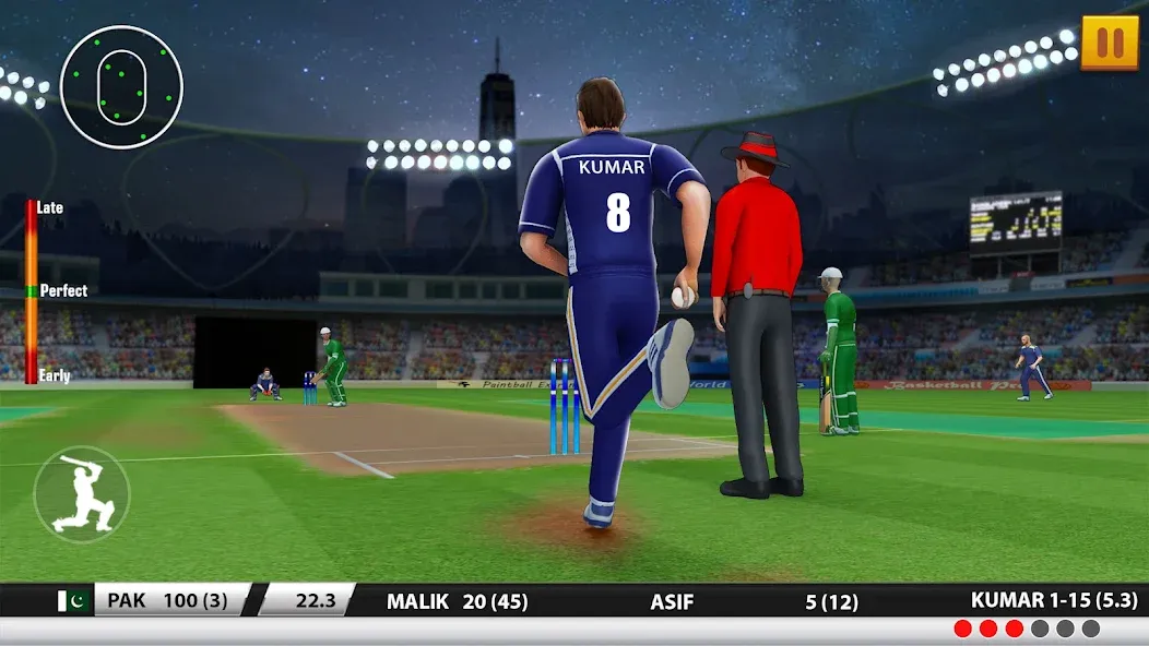 World Cricket Games :T20 Cup (Ворлд Крикет Геймс)  [МОД Mega Pack] Screenshot 2