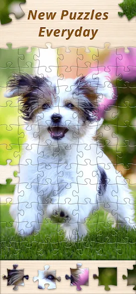 Jigsaw Premium Puzzles HD (Джигсоу)  [МОД Все открыто] Screenshot 5