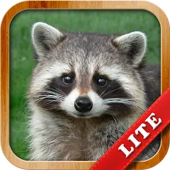 Скачать взломанную Animals for Kids  [МОД Unlimited Money] - полная версия apk на Андроид