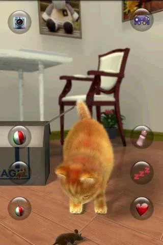 Talking Lovely Cat  [МОД Бесконечные монеты] Screenshot 3